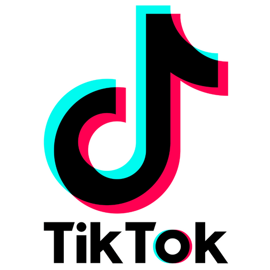 TikTok Advertisement Plan